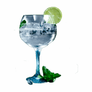 Gin Tonic